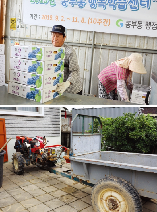 포도 농사를 하는 사진