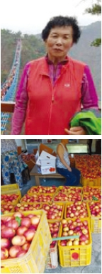 정영환씨 아내 사진