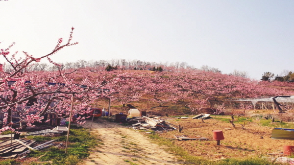 여천동 사진